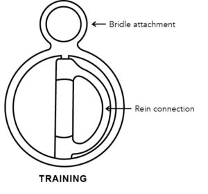 Cheekpiece Training CAD